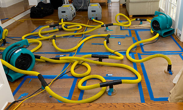 Professional Crawl Space Water Removal technician working in Clifton Hill, MO